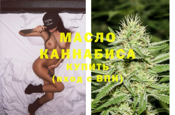 гидра Бронницы