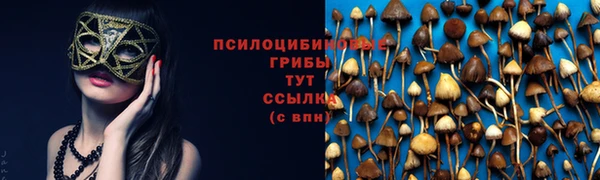 гидра Бронницы