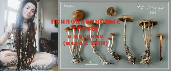 гидра Бронницы