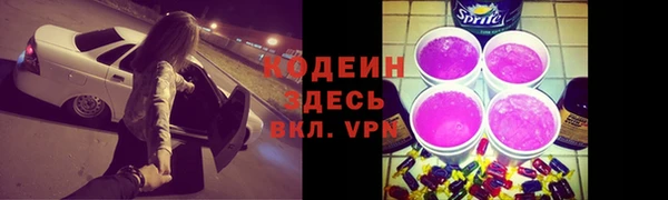 эйфоретик Бородино