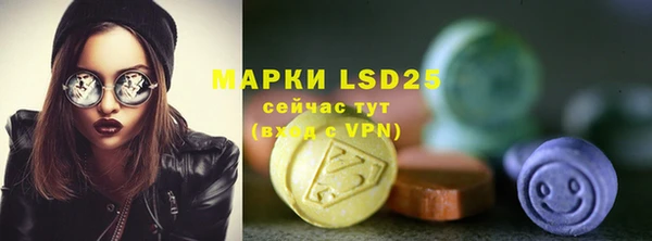эйфоретик Бородино