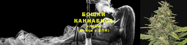 эйфоретик Бородино