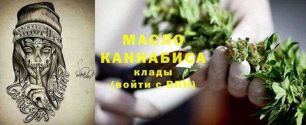 гидра Бронницы